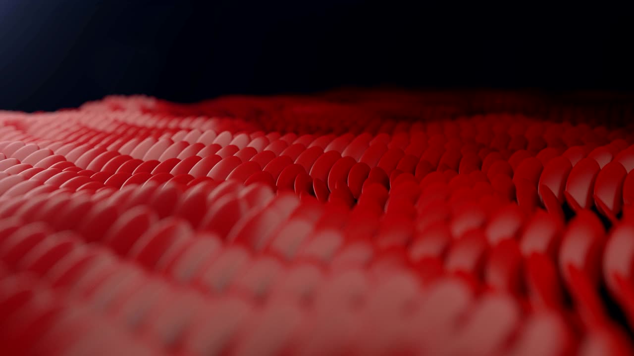 частицы эллипса (красный) - цикличные