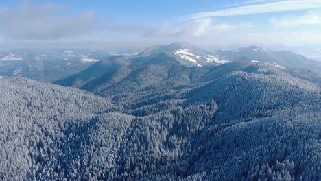 aerial panoramic view of snow covered trees on mountains during winter - drone shot