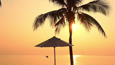 sombrilla de playa bajo la palmera durante la puesta de sol de color naranja sobre el mar, fritura de aves