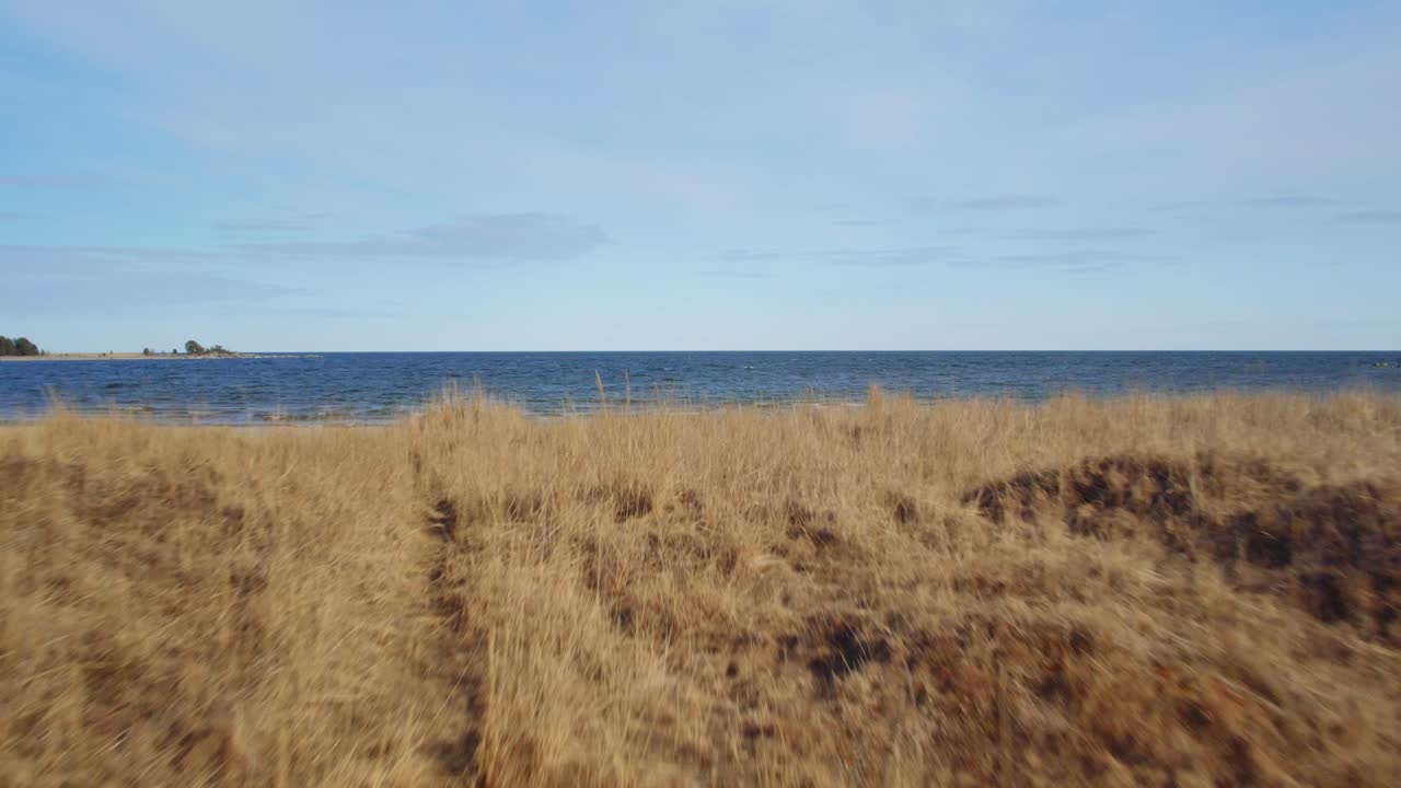 슬로모션으로 해변과 바다 위를 날다