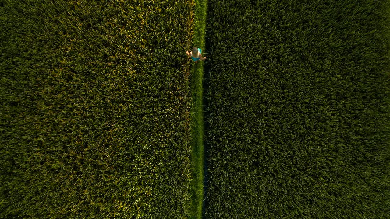 일출 동안 발리의 녹색 논 사이의 작은 길을 걷는 여자