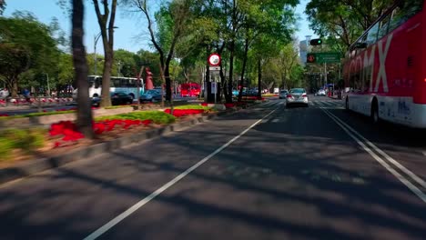 round through the busy, tree-lined streets of mexico city