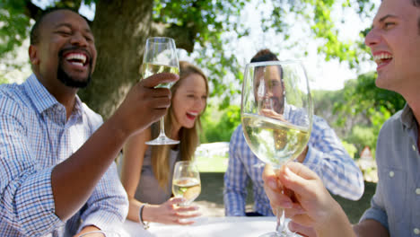 group of friends toasting wine glasses