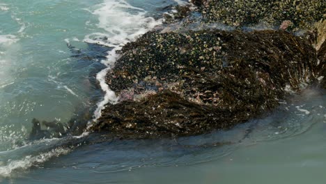 Sanfter-Wasserfluss-über-Küstenfelsen,-Eine-Ruhige-Szene,-Die-Die-Ruhige-Schönheit-Der-Natur-Einfängt