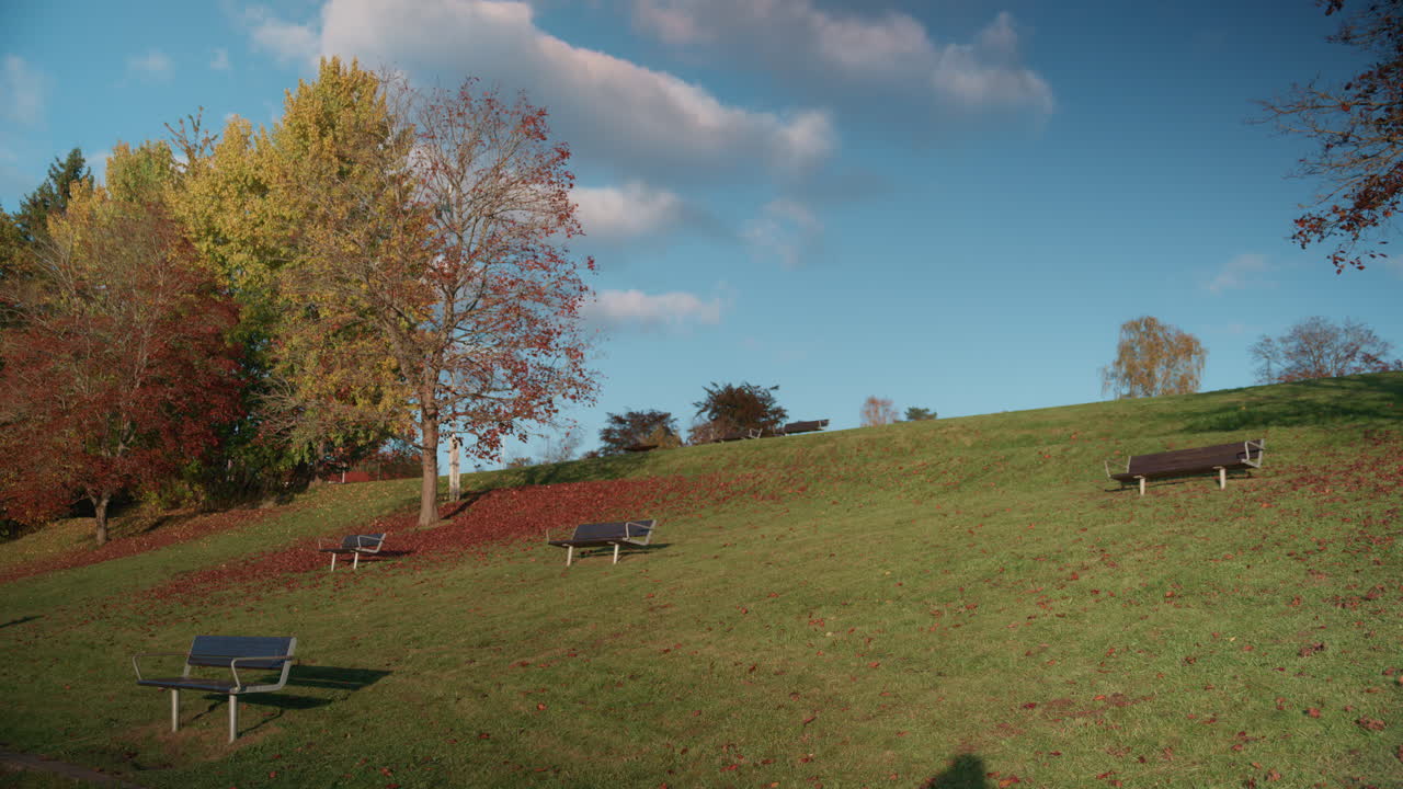 Wide shot of a hillside at a park in Oslo, Norway on a sunny October day