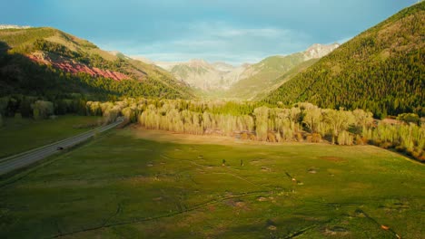 imágenes aéreas de drones volando sobre el hermoso valle verde y exuberante del bosque alpino de las montañas rocosas que muestran ciervos pastando en un campo de hierba abierto durante la hermosa y cálida puesta de sol dorada en telluride, colorado, ee. uu.