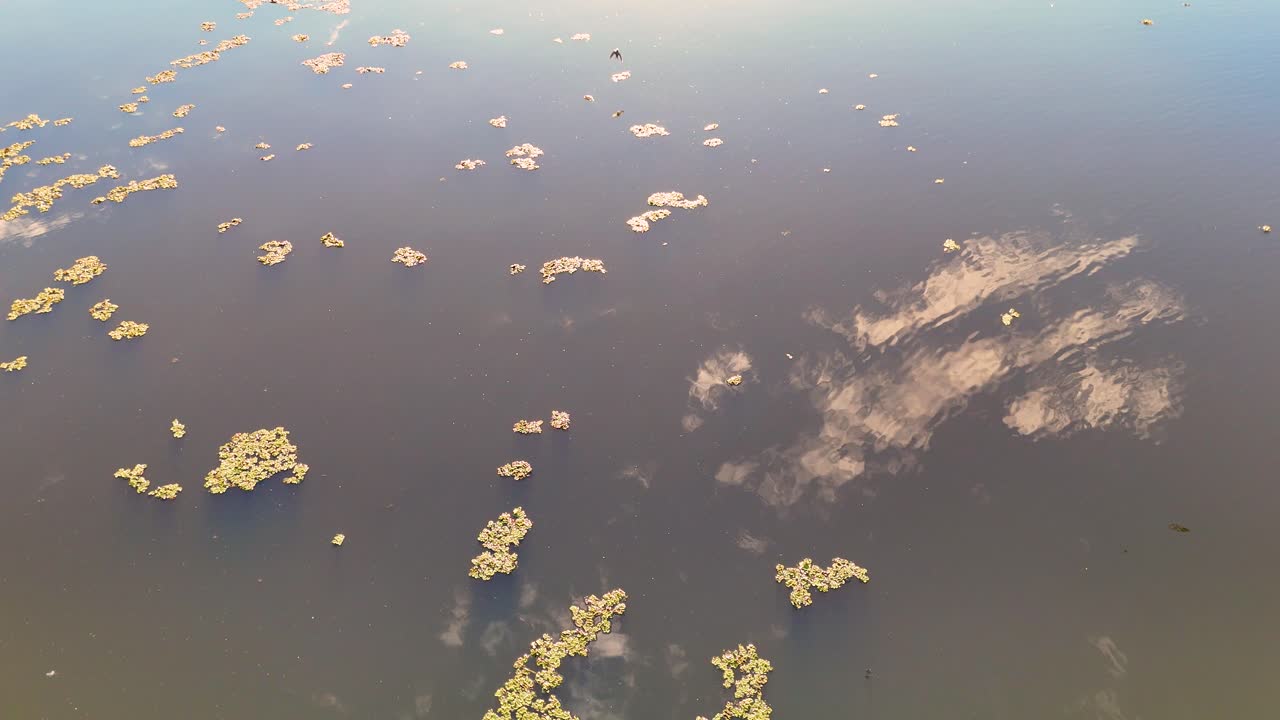 Birds and clouds reflected over a tranquil pond