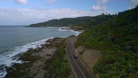 black suv car drives along beautiful australian great ocean road near wye river, victoria