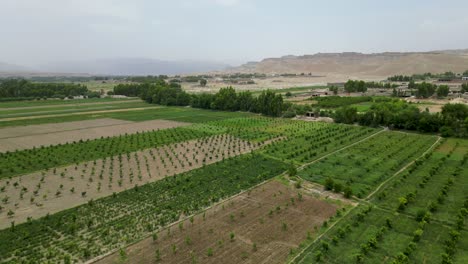 jardín en las zonas rurales de nangarhar