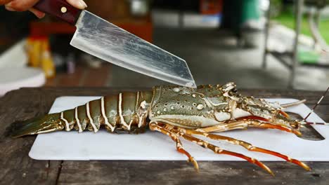 knife on fresh lobster on cutting board, handheld motion view