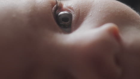 macro shot of a baby boy's eyes