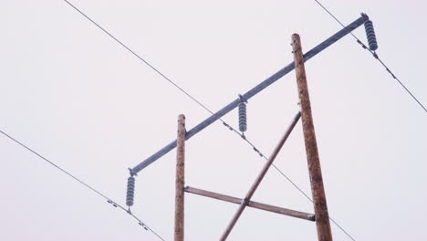 a close up of the top of a power line pole in a snowstorm