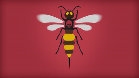 dangerous murder hornet flying on red background, animation loop