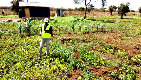 Granjas-Agrícolas-Rurales-En-Kenia