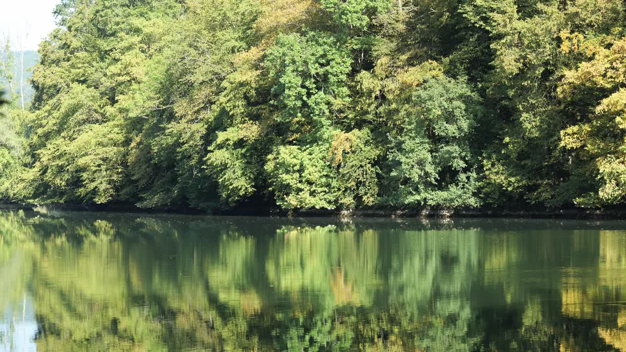 호수는 울창한 나무로 둘러싸인 숲을 반영합니다.