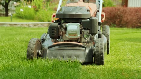 lawn mower cutting the grass. gardening activity. cutting grass with petrol driven lawn mower in sunny garden. gardener working with  mower machine in the garden. lawn mower cutting green grass