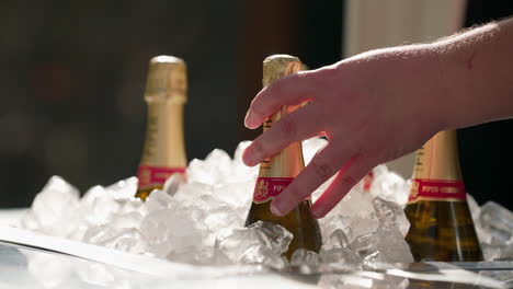 close up hand placing champagne bottle into ice at outdoor event, 4k slow motion