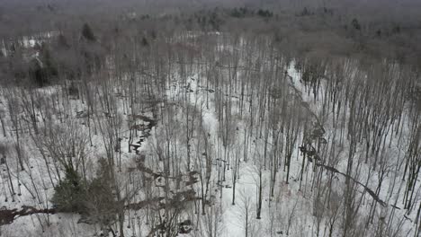 Volando-Sobre-El-Bosque-En-El-Norte-Del-Estado-De-Nueva-York---Antena-4k