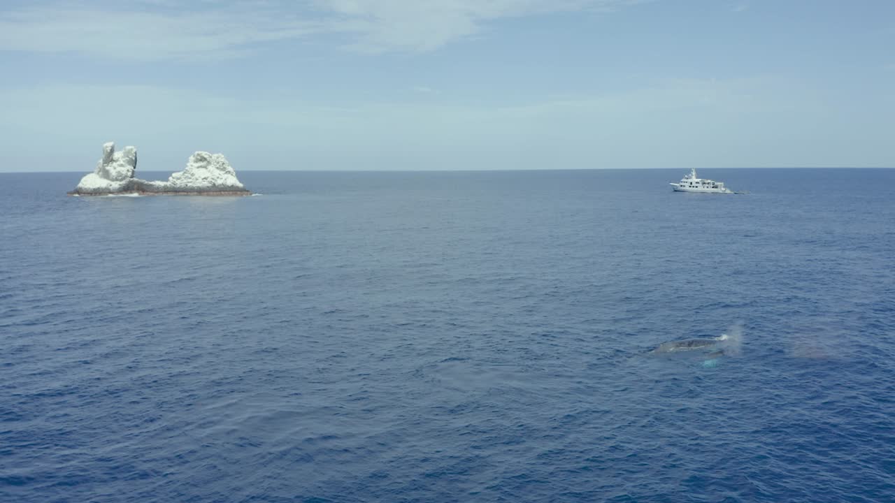 Humpback whale spouts air with dive boat and Revillagigedo Islands in background