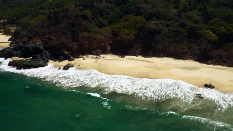 dense green woods on the sandy seashore at playa san pancho in san francisco, nayarit, mexico