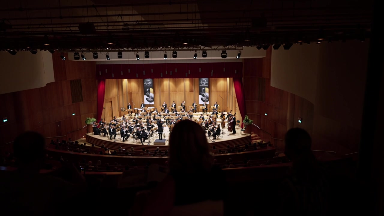 Esecuzione di un'orchestra sinfonica, una grande orchestra in un concerto d'opera.