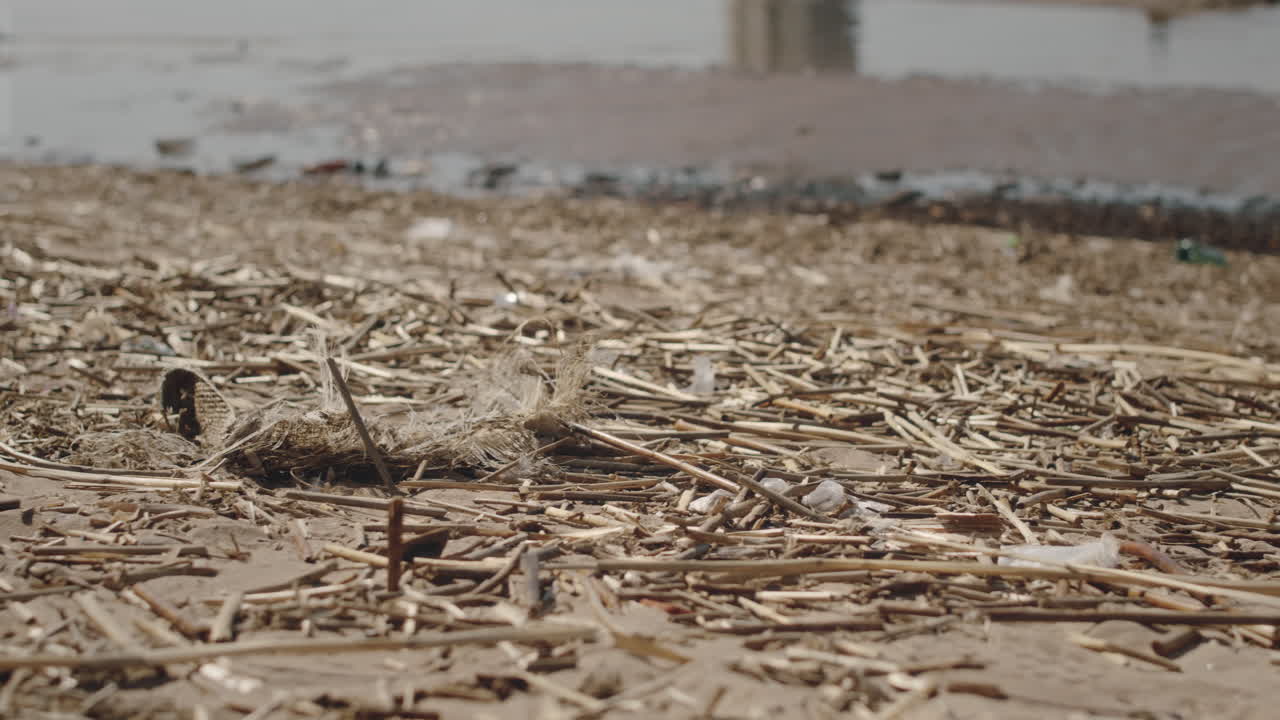 Embrankent Covered with Twigs and Trash