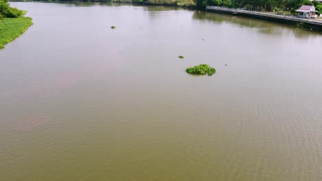 Die-Flugumgebung-Pflanzt-Den-Grünen-Wald-Und-Das-Flussufer