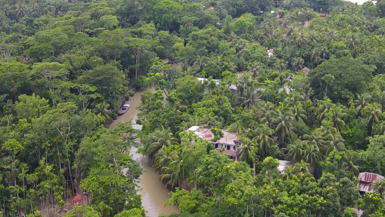 pequeño río fluye a través del bosque