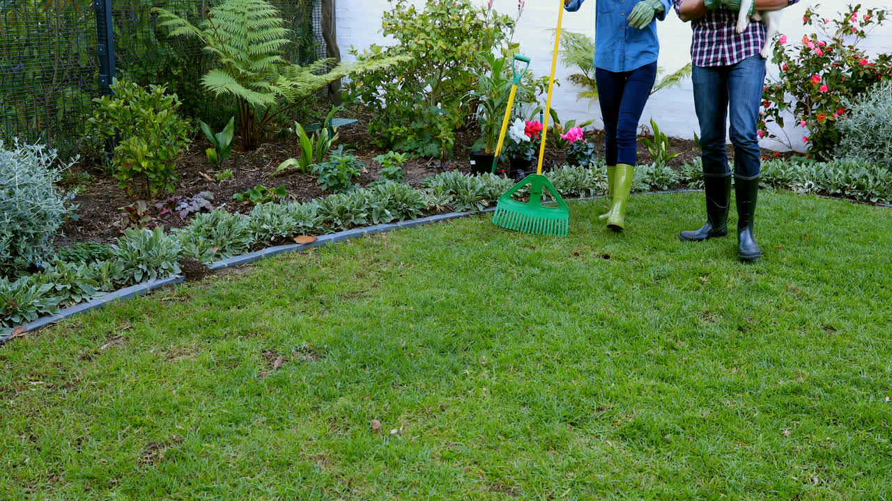 pareja con perro de mascota interactuando entre sí 4k
