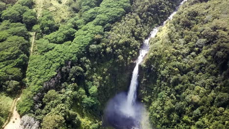 sped up pull back reveal aerial view of stunning akaka falls, hawaii