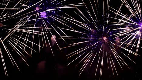 Colorful fireworks exploding in the night sky. Celebrations and events in bright colors.