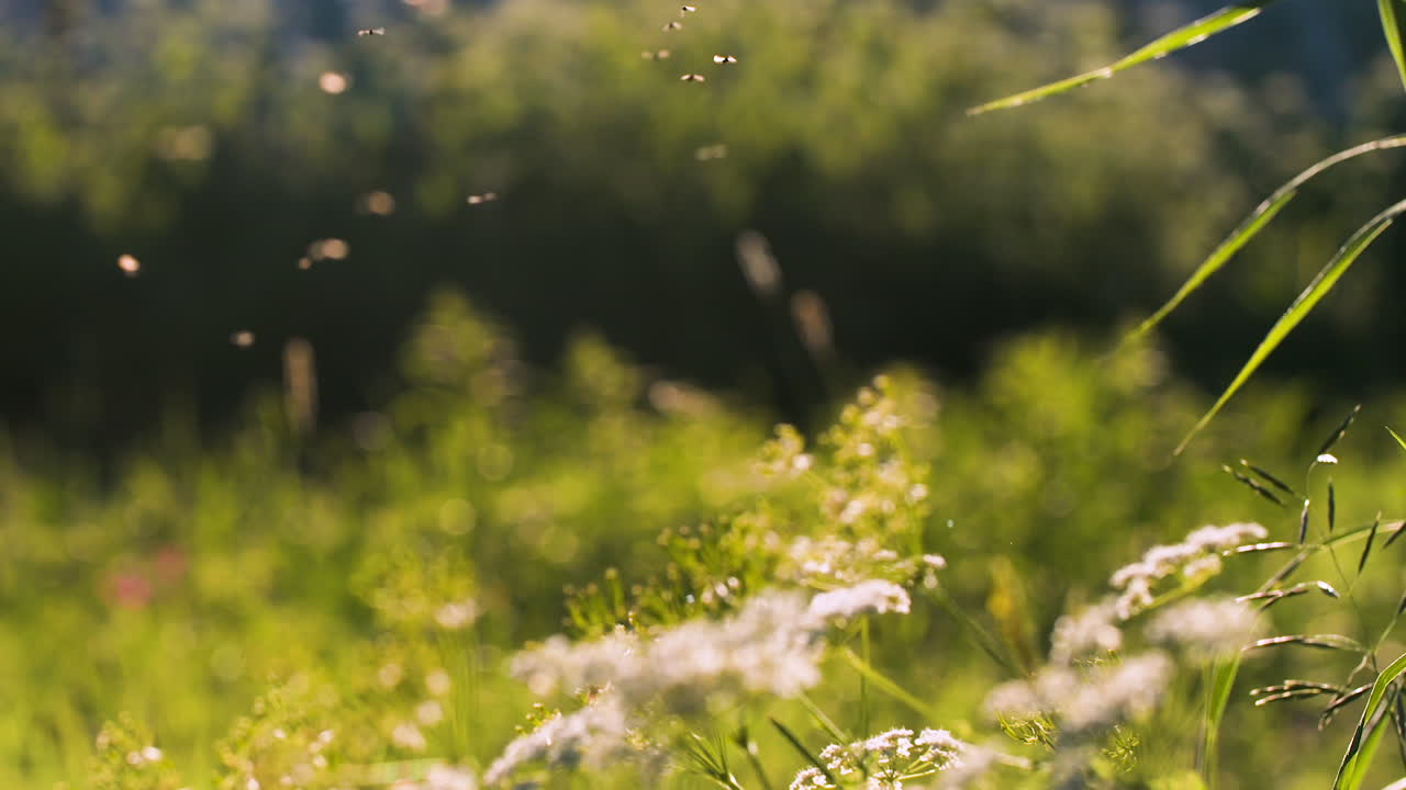 풀에서 날아다닙니다.