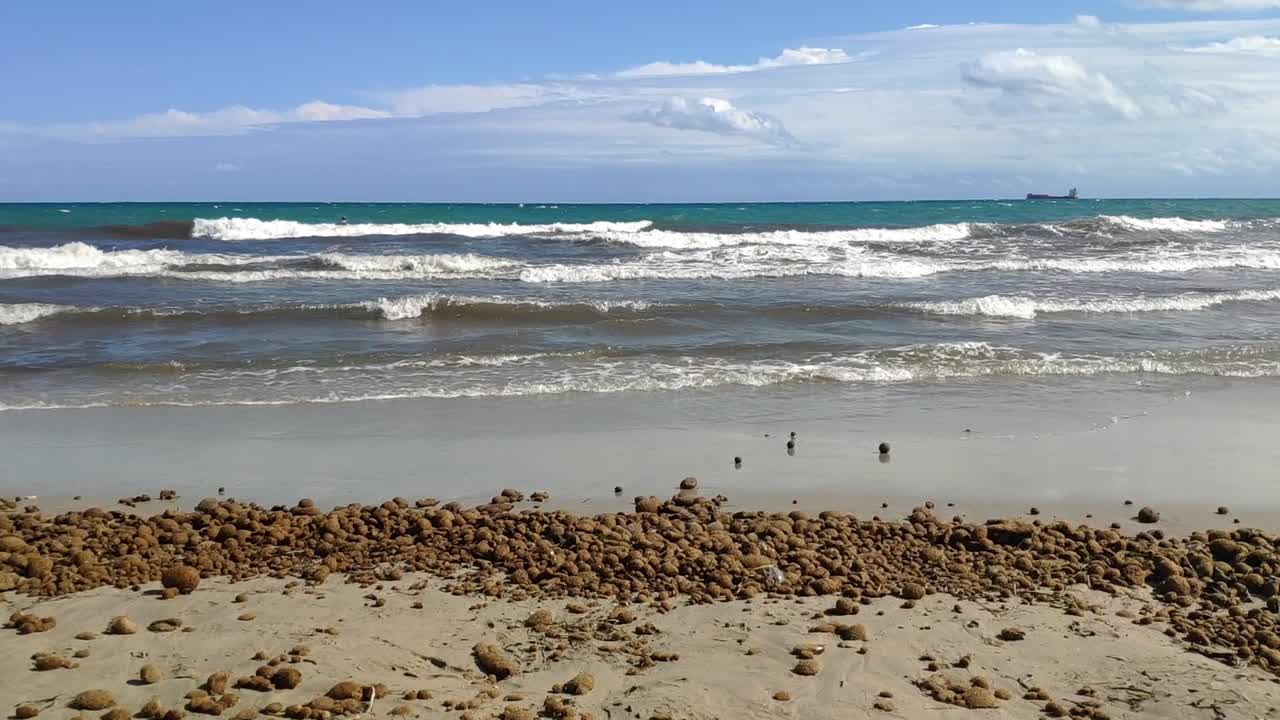 Seagrass balls along the shore of Postiguet beach with waves and a ship in the distance
