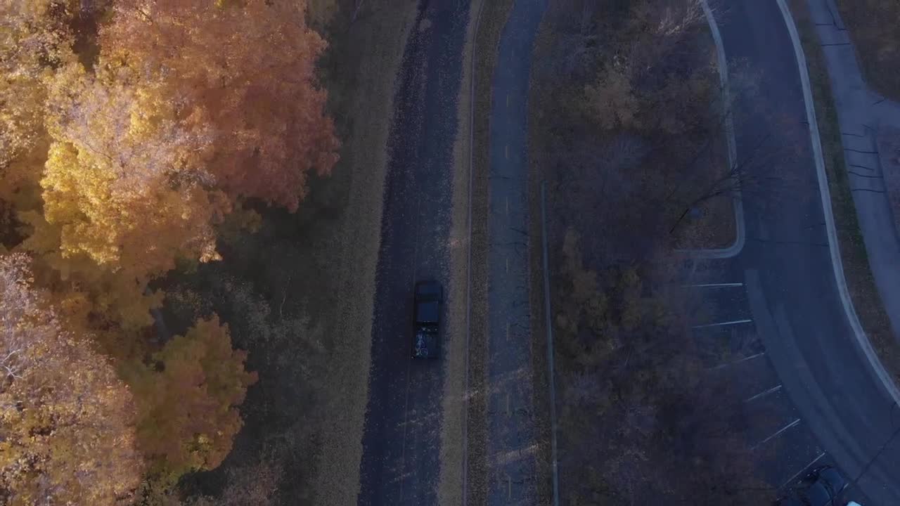 птичий глаз, за рулем в осенний полдень