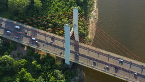 beautiful top-down shot of traffic on modern cable stayed bridge