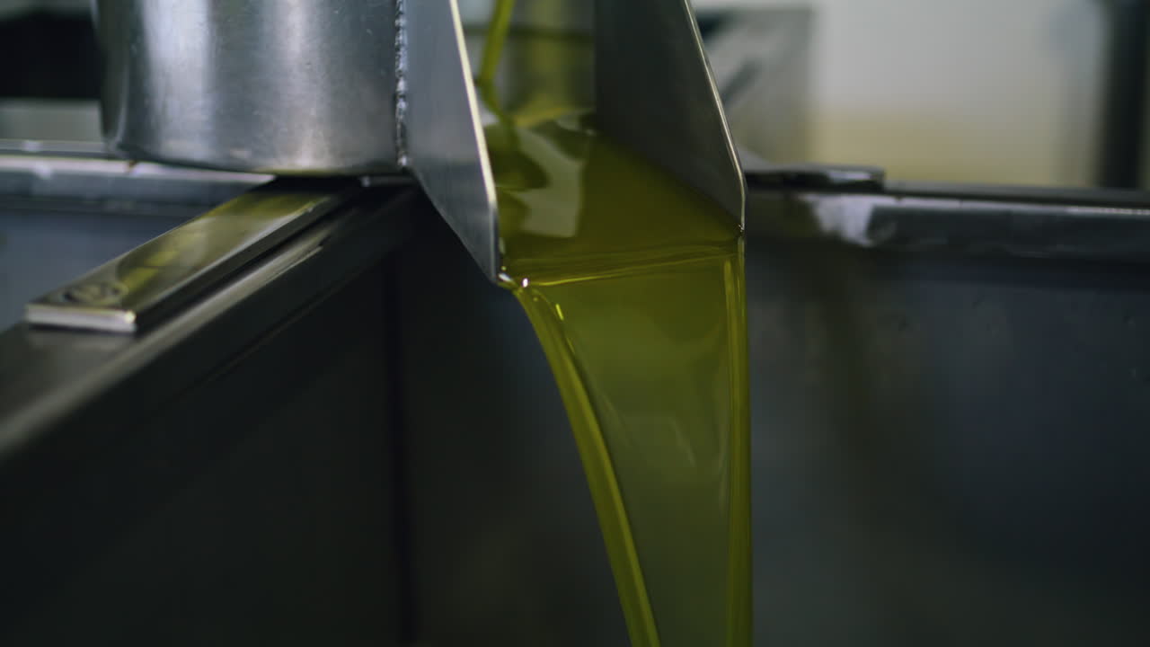 Unfiltered oil pouring container at factory closeup. Olive flowing vertically