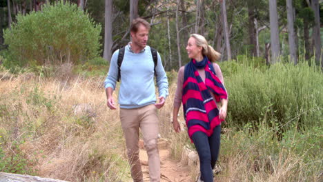 couple walking on a country path near a forest