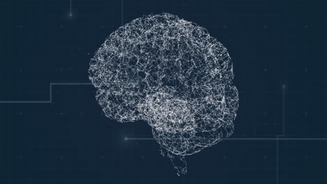 animación del cerebro humano con una red de conexión sobre la rejilla