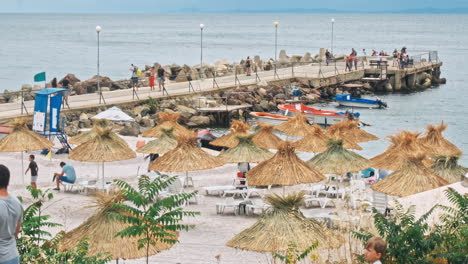 people relaxing at the seaside