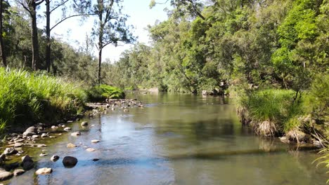 Unique-drone-view-of-flowing-creek-winding-through-an-Australian-outback-native-Eucalyptus-forest-and-billabong-waterhole