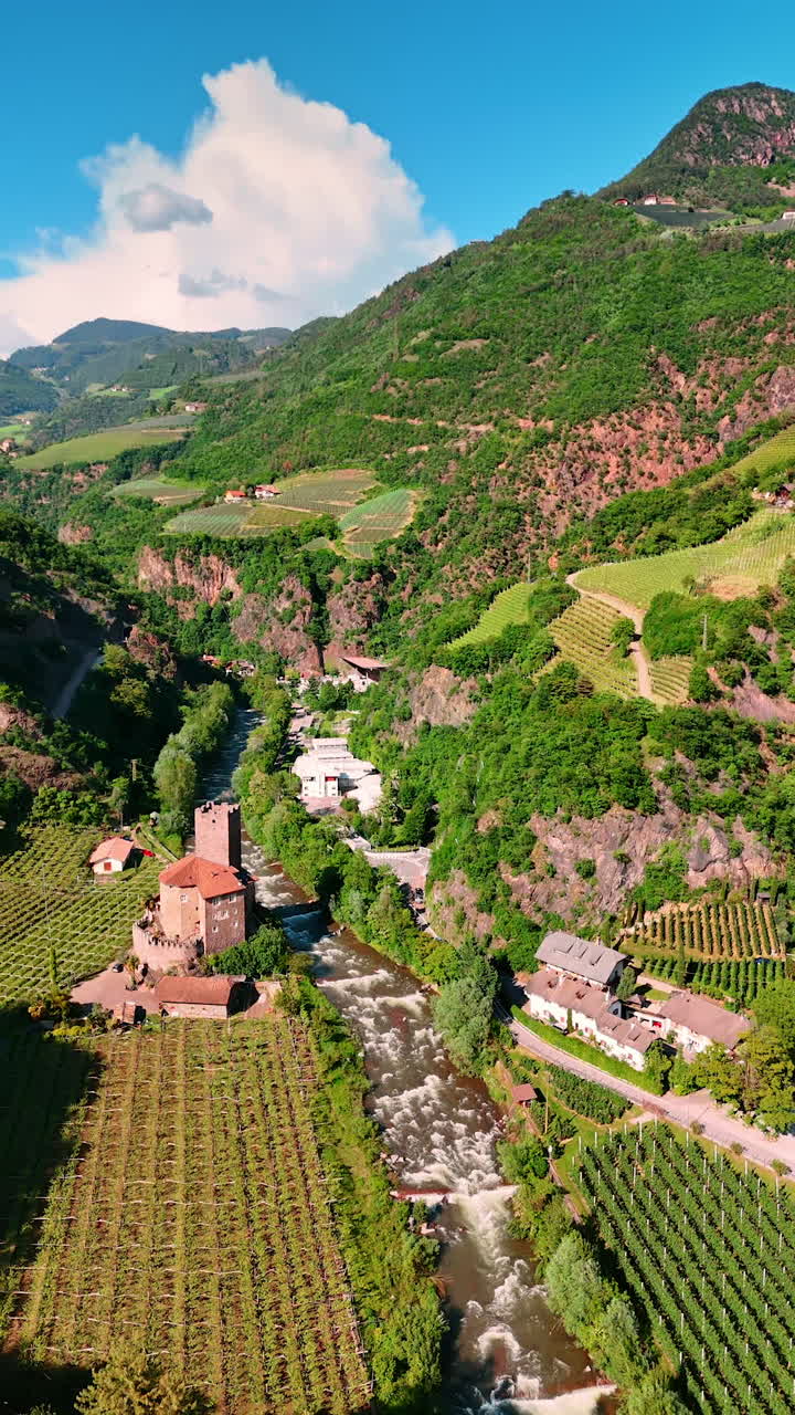 Flight over the quick river flowing at the foot of the mountains. Vineyards grow on the slopes of the rocks. Aerial perspective on Bolzano, South Tyrol, Italy on sunny hot day. Vertical video.