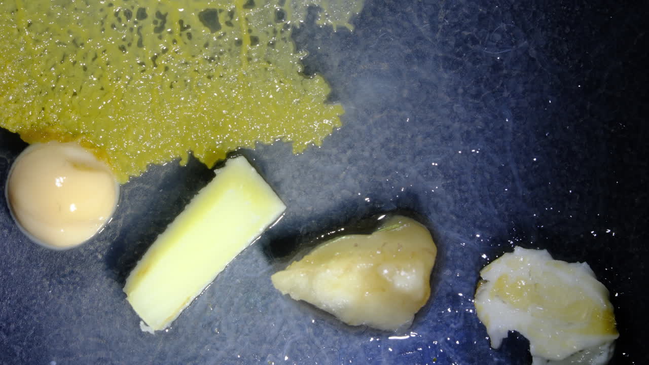 Slime Mold and Organic Forms on Dark Surface