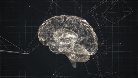 animación de un cerebro humano brillante con números de estadísticas de interfaz digital