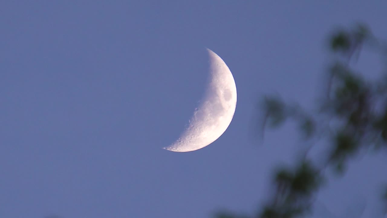 Dramatic waxing crescent moon phase in evening sky with tree branch in wind