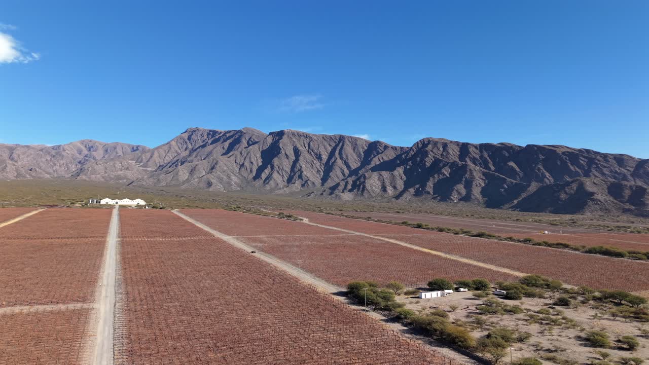 Ripresa aerea di vigneti e terreni agricoli vicino alla catena montuosa di Famatina in una giornata luminosa, La Rioja, Argentina