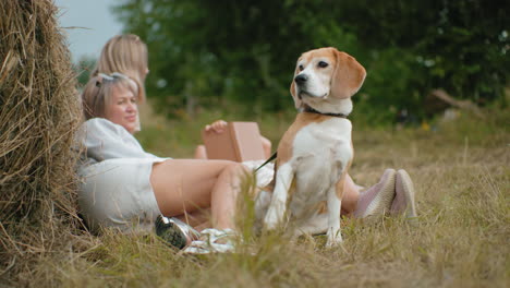 dog gazes thoughtfully, preparing to move while owner lies on grass holding leash, serene countryside setting with blurred figures and warm natural tones