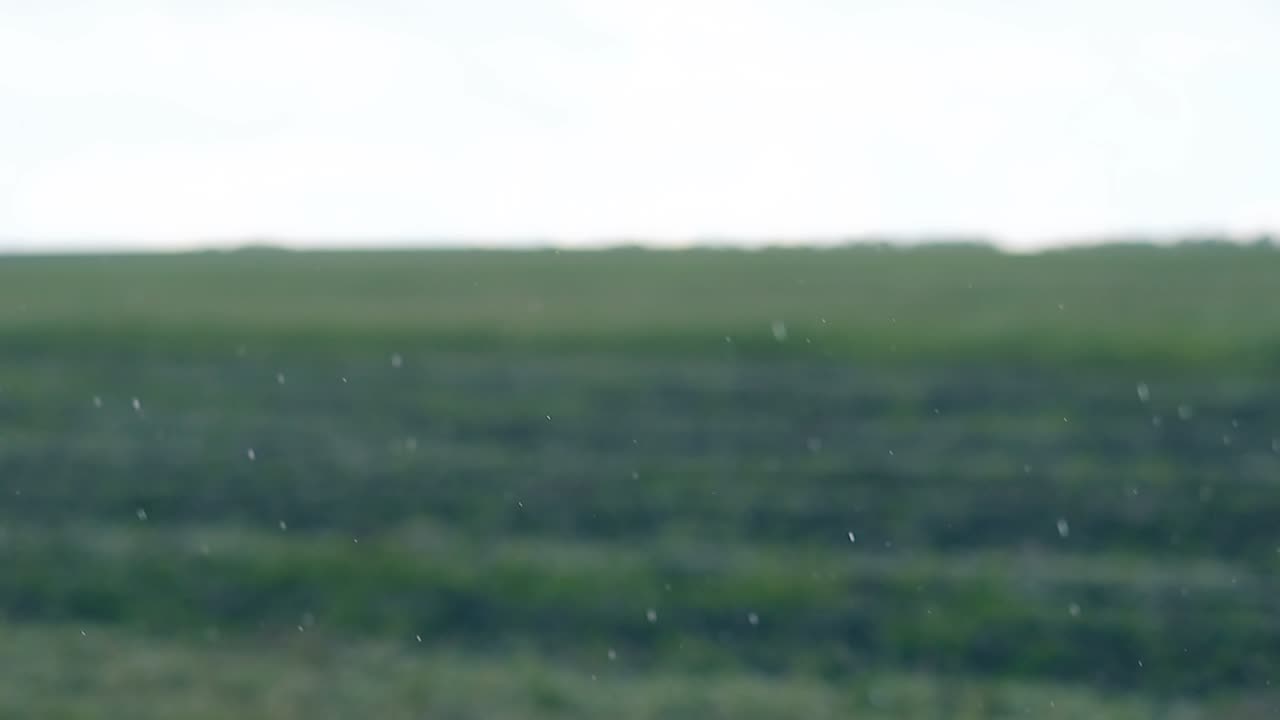 부드러운 비는 불쾌한 여름 날에 흐릿한  ⁇ 에 떨어집니다.