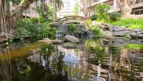 calm pond with waterfall and reflections