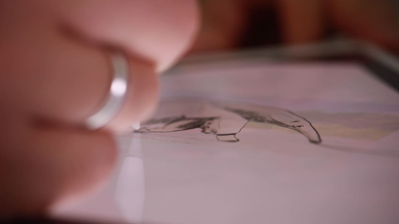 Macro closeup of drawing of an animal giant anteater on ipad