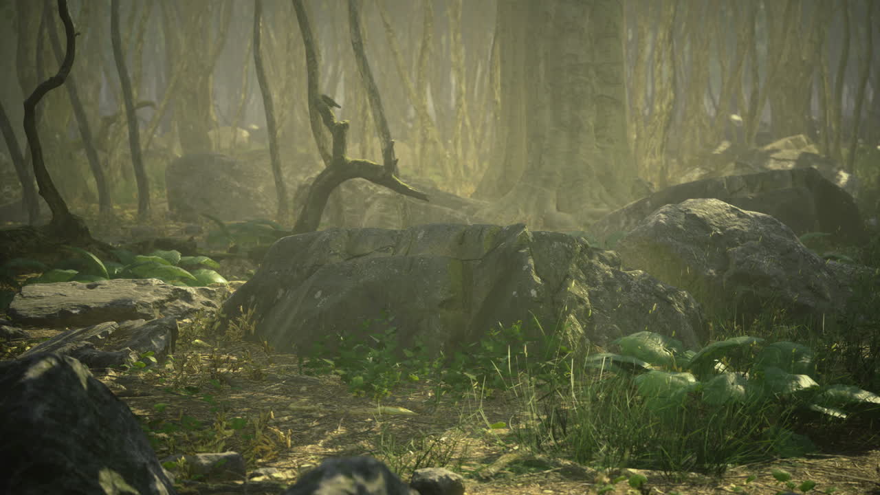 Enchanting forest glade filled with mist vibrant greens and ancient rocks